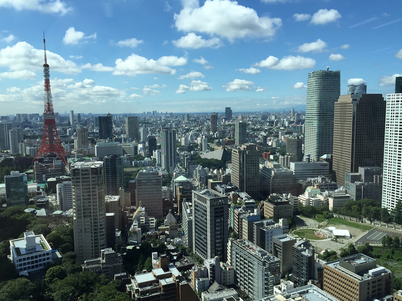 2025年2月 第55页