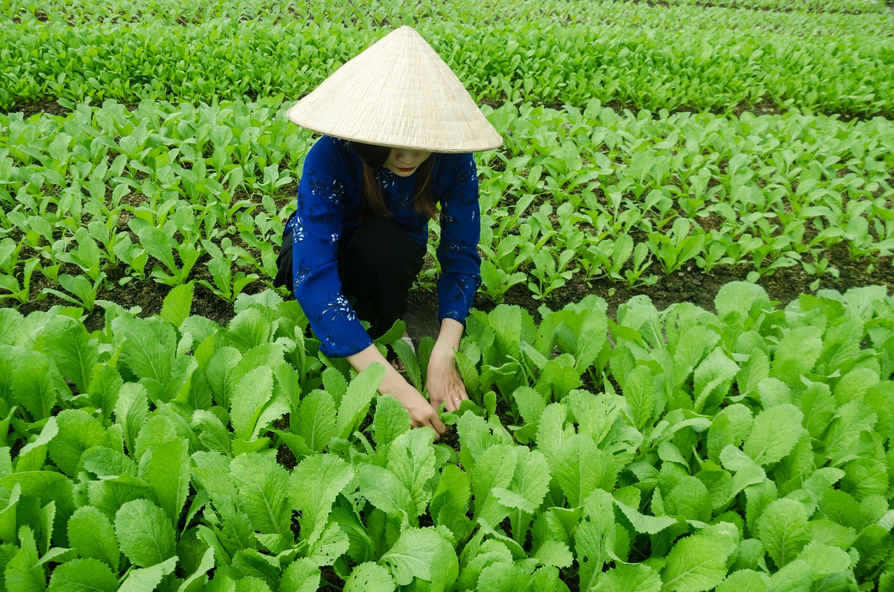 听风入韵 第5页
