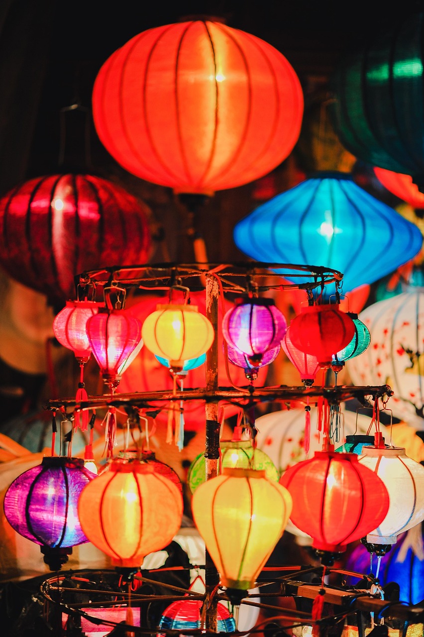 五月三树林专场演出，音乐盛宴与文化交流之夜